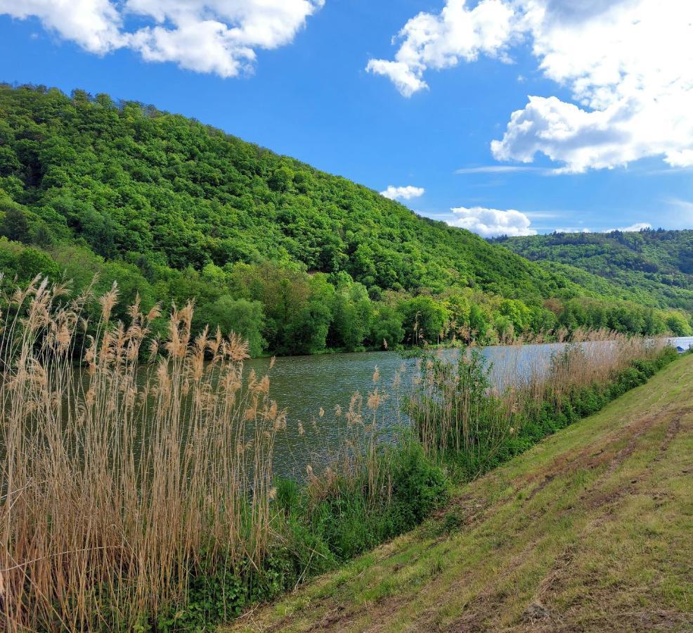 Bad Münster am Stein-Ebernburg Zum Stausee المظهر الخارجي الصورة